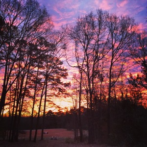 Beautiful sunrise at Campbell Family Farm