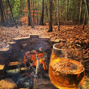 Enjoying some wine by the fire